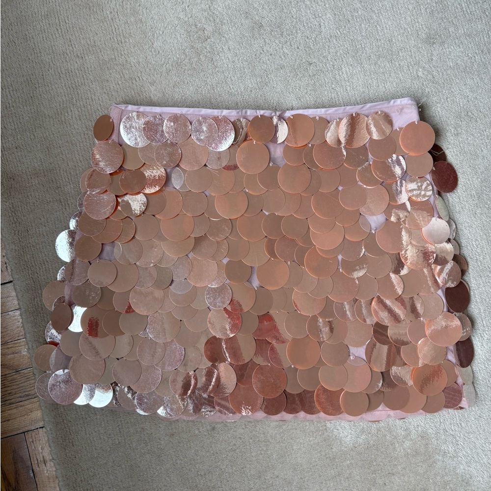 J Crew Sequin Skirt - Rose/Champagne/Pink/Nude (Size 8)